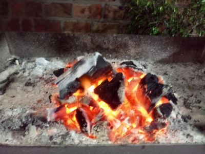 Carbón especial para asados - Foto 5