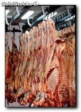 Carne Vacuna/Ovina/Porcina/otras desde Argentina y Sudamerica - p/importadores