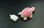 Cartoon tortue animal 8 G Flash Drive USB 2.0 tortue Memory Stick en gros - Photo 3