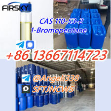 CAS 110-53-2 1-Bromopentane Whatsapp: +86 17702738483