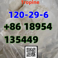 Cas 120-29-6 Tropinol