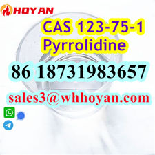 CAS 123-75-1 Pyrrolidine liquid door to door ship worldwide