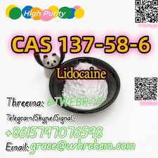 CAS 137-58-6 Lidocaine Factory Supply High Purity Safe Delivery
