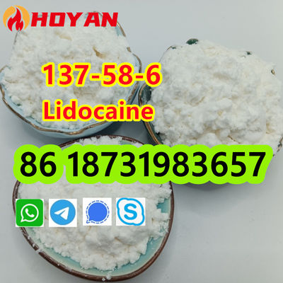 CAS 137-58-6 Lidocaine powder - Photo 2