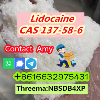 Cas 137-58-6 Lidocaine Powder api Raw Material - Photo 3