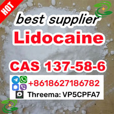 cas 137-58-6 Lidocaine supplier powder 99% Purity Best Price