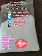 Cas 23076-35-9 Xylazine Hcl cas 7361-61-7 Xylazine Powder