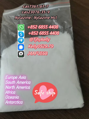 Cas 23076-35-9 Xylazine Hcl cas 7361-61-7 Xylazine Powder