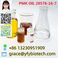 Cas 28578-16-7 pmk Powder/Oil pmk ethyl glycidat - pmk Powder/Oil