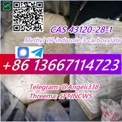 CAS 43120-28-1 Methyl 1H-indazole-3-carboxylate telegram@Angeli338 - Photo 2