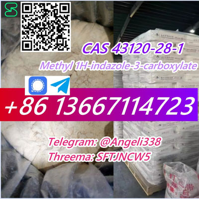 CAS 43120-28-1 Methyl 1H-indazole-3-carboxylate Threema: SFTJNCW5 tele:@Angeli33 - Photo 2