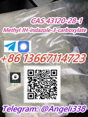 CAS 43120-28-1 Methyl 1H-indazole-3-carboxylate Threema: SFTJNCW5 tele:@Angeli33 - Photo 3