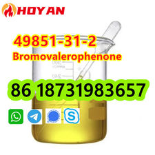 CAS 49851-31-2 Bromovalerophenone Russia sale