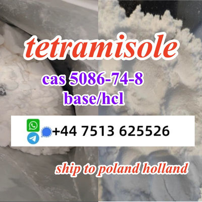 cas 5086-74-8 tetramisole hcl base powder door to door ship worldwide - Photo 2