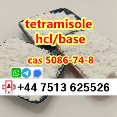 cas 5086-74-8 tetramisole hcl base strong effect export to Europe - Photo 2