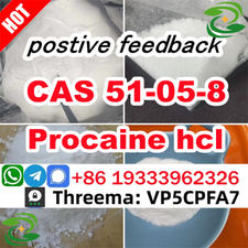 CAS 51-05-8 powder Factory Supply Procaine hydrochloride supplier factory