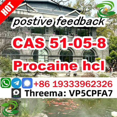 CAS 51-05-8 powder Factory Supply Procaine hydrochloride supplier factory - Photo 5