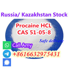 Cas 51-05-8 Procaine hcl 1kg Pure Powder 99,9%