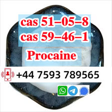 cas 51-05-8 Procaine Hcl Procaine Hydrochloride high quality to holland