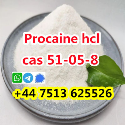 cas 51-05-8 Procaine Hcl Procaine Hydrochloride ship to holland - Photo 5