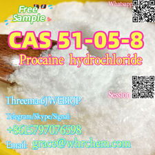 CAS 51-05-8 Procaine hydrochloride Factory Supply High Purity Safe Delivery