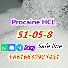 CAS 51-05-8 Procaine Hydrochloride quick delivery