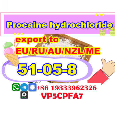 CAS 51-05-8 Procaine hydrochloride supplier Procaine hcl powder Safe Delivery - Photo 2