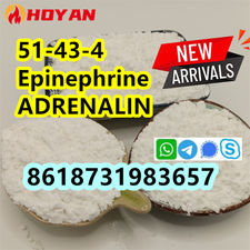 cas 51-43-4 Epinephrine powder ADRENALIN supplier