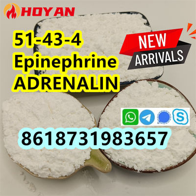cas 51-43-4 Epinephrine powder ADRENALIN supplier - Photo 3