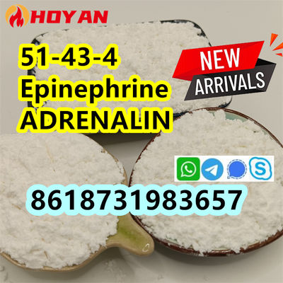cas 51-43-4 Epinephrine powder ADRENALIN supplier - Photo 4