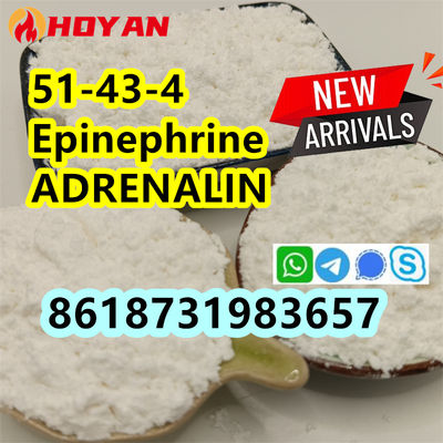 cas 51-43-4 Epinephrine powder ADRENALIN supplier - Photo 5