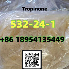 Cas 532-24-1 Tropinone