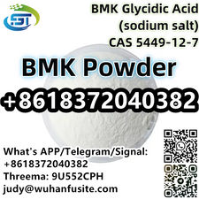 CAS 5449-12-7 BMK Glycidic Acid (sodium salt) BMK Powder Liquid