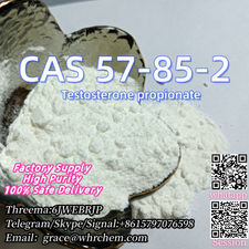 CAS 57-85-2 Testosterone propionate Factory Supply High Purity 100% Safe Deliver