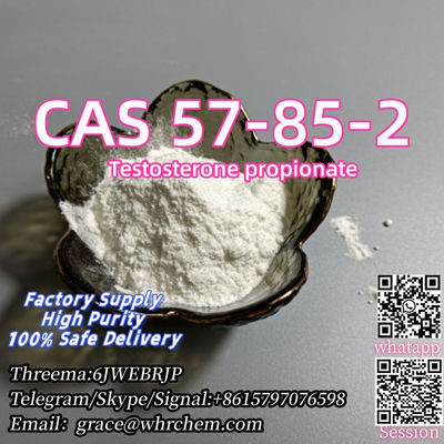 CAS 57-85-2 Testosterone propionate Factory Supply High Purity 100% Safe Deliver - Photo 2