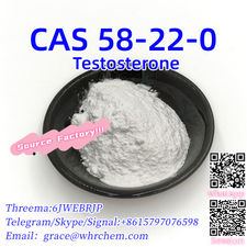 CAS 58-22-0 Testosterone Factory Supply High Purity 100% Safe Delivery