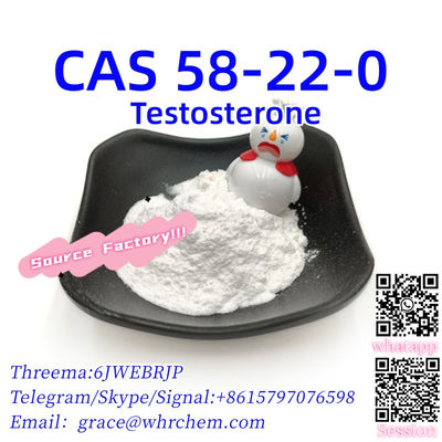 CAS 58-22-0 Testosterone Factory Supply High Purity 100% Safe Delivery - Photo 2