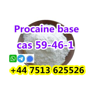 cas 59-46-1 Procaine base powder safe to europe - Photo 2