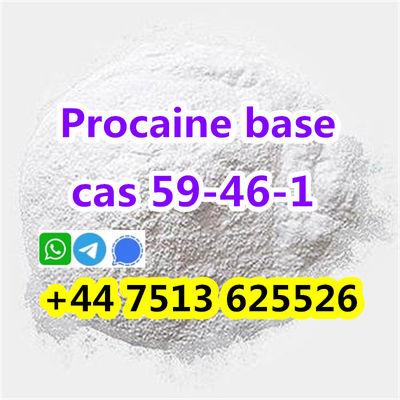 cas 59-46-1 Procaine base powder safe to europe - Photo 5