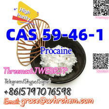 CAS 59-46-1 Procaine Factory Supply High Purity Safe Delivery