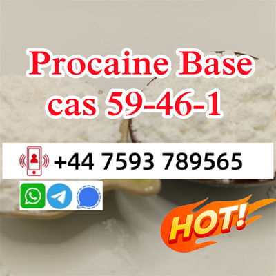 cas 59-46-1 Procaine powder door to door ship - Photo 2