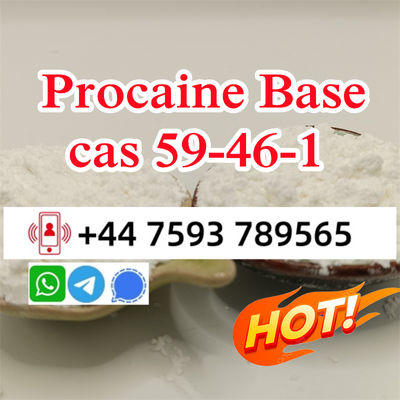 cas 59-46-1 Procaine powder door to door ship - Photo 3