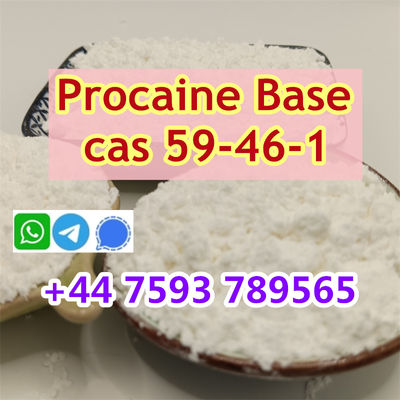 cas 59-46-1 Procaine powder sale price