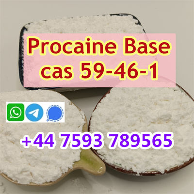 cas 59-46-1 Procaine powder sale price - Photo 2