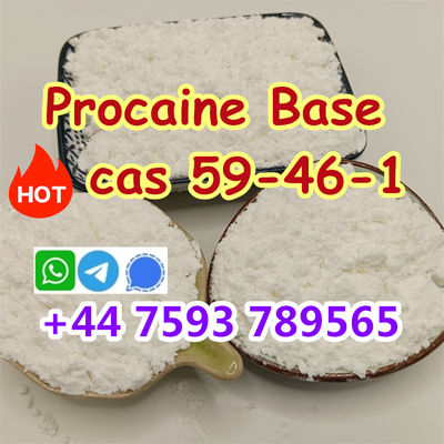 cas 59-46-1 Procaine top supplier