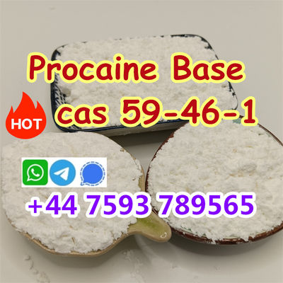 cas 59-46-1 Procaine top supplier - Photo 4