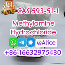 CAS 593-51-1 Methylamine hydrochloride Best Quality Methylamine