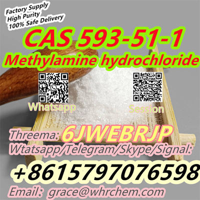 CAS 593-51-1 Methylamine hydrochloride Factory Supply High Purity Safe Delivery - Photo 3