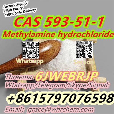 CAS 593-51-1 Methylamine hydrochloride Factory Supply High Purity Safe Delivery - Photo 4