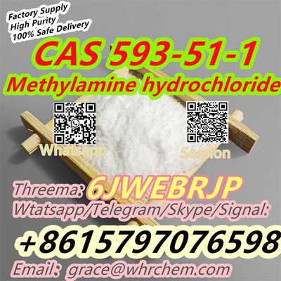CAS 593-51-1 Methylamine hydrochloride Factory Supply High Purity Safe Delivery - Photo 5